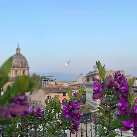 Flower Roma